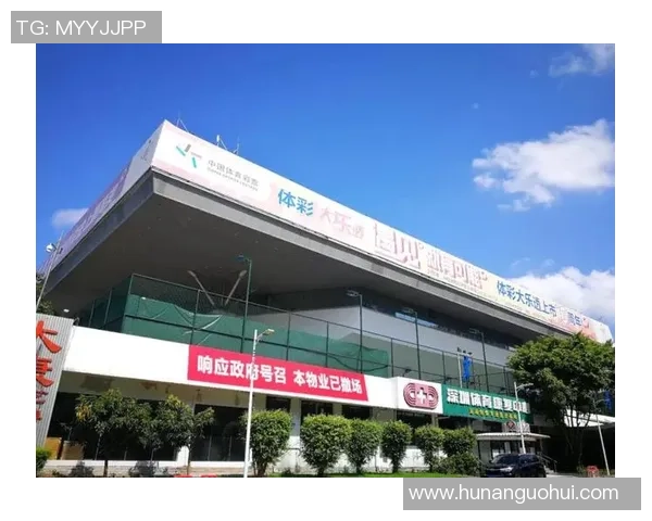 深圳排球队的蜕变与崛起:全国锦标赛背后的奋斗与坚持